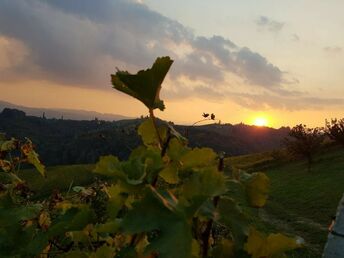 Romantische Tage im Herzen der Südsteiermark | 3 Nächte