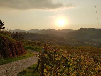 Romantische Tage im Herzen der Südsteiermark | 3 Nächte