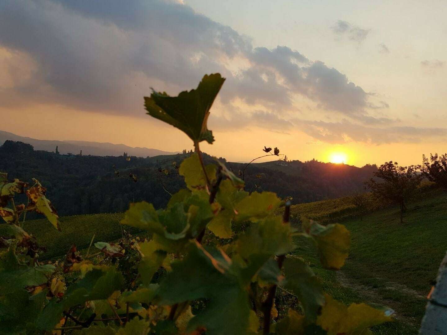 Romantische Tage im Herzen der Südsteiermark | 3 Nächte