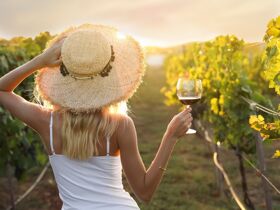 7=6 Kulinarische Tage in der Südsteiermark mit Brettljause & Backhendl