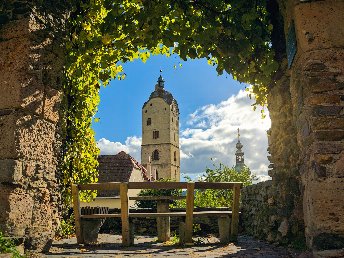 Stadt & Natur | Urlaub in der Wachau inkl. Eintrittskarte für Kultureinrichtungen | 1 Nacht