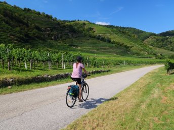 Mit dem Rad durch die Wachau – Kultur & Genuss in Krems | 6 Nächte inkl. Frühstück & Kombikarte
