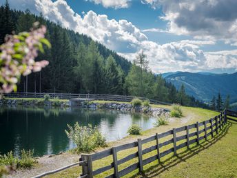 Tradition & Natur Pur in den Schladminger Bergen | 4 Tage  inkl. Halbpension  