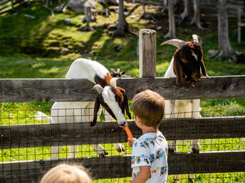 Tradition & Natur Pur in den Schladminger Bergen | 4 Tage  inkl. Halbpension  
