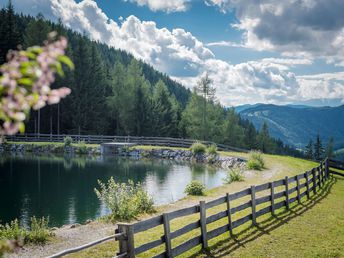 Tradition & Natur Pur in den Schladminger Bergen | 4 Tage  inkl. Halbpension  