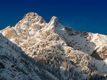 Bild 36 von 36