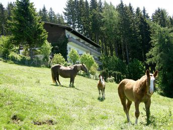 Bild 6 von 26