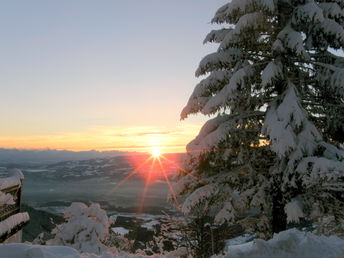 Bild 24 von 26