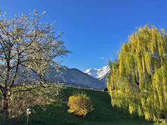 Familienurlaub in Hall in Tirol | 2 Nächte