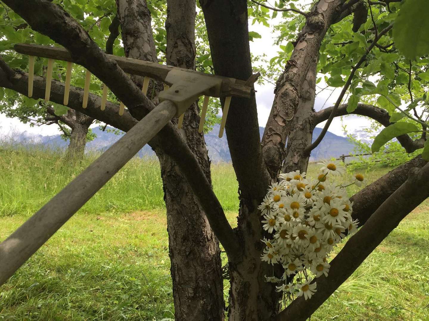 Familienurlaub in Hall in Tirol | 2 Nächte