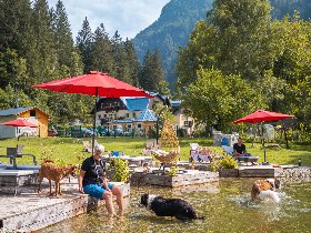 Urlaub mit Hund inkl. Dogsitting in den Gasteiner Bergen | 6 Nächte 