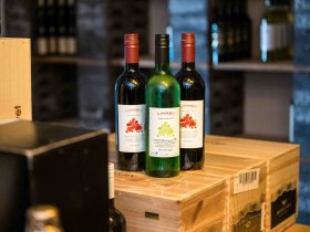 Erholsame Tage im Salzkammergut / Dachstein inkl. HP | 3 Nächte