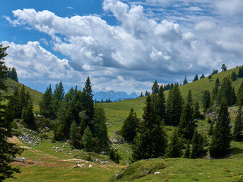 Natur, Wellness & Kärnten Card im Naturpark Dobratsch | 3 Nächte
