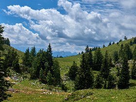 Last Minute - Sommer in Kärnten inkl. 20% Rabatt Gutschein | 3 Tage