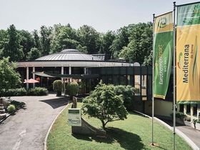 Thermenurlaub in Bad Hall mit Medi Stream & Frühstück am Anreisetag