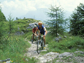 3 Tage Schnupper-Urlaub inkl. Kufstein Card im Bio Landhaus Seethaler