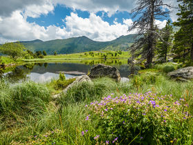 3 Übernachtungen inkl. Skipass im Jänner