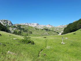 Beeindruckende Naturgewalten des Saalachtals erleben