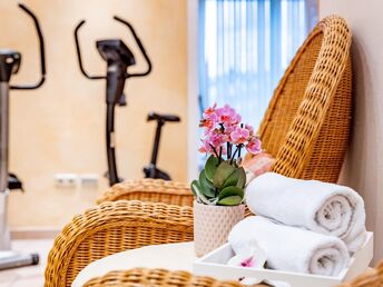 Kurzurlaub & Wellness in der Romantikstadt Steyr | 4 Nächte