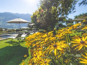 Winter im Tiroler Zillertal - Wellness & Berge | 3 Nächte