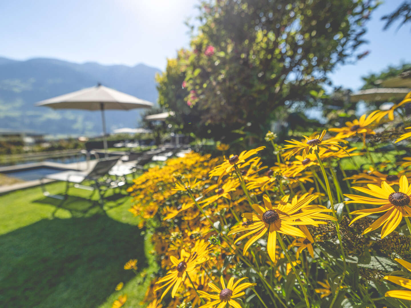 Vinoble Wellness Schnuppertage inkl. Red Grape Bath im Zillertal