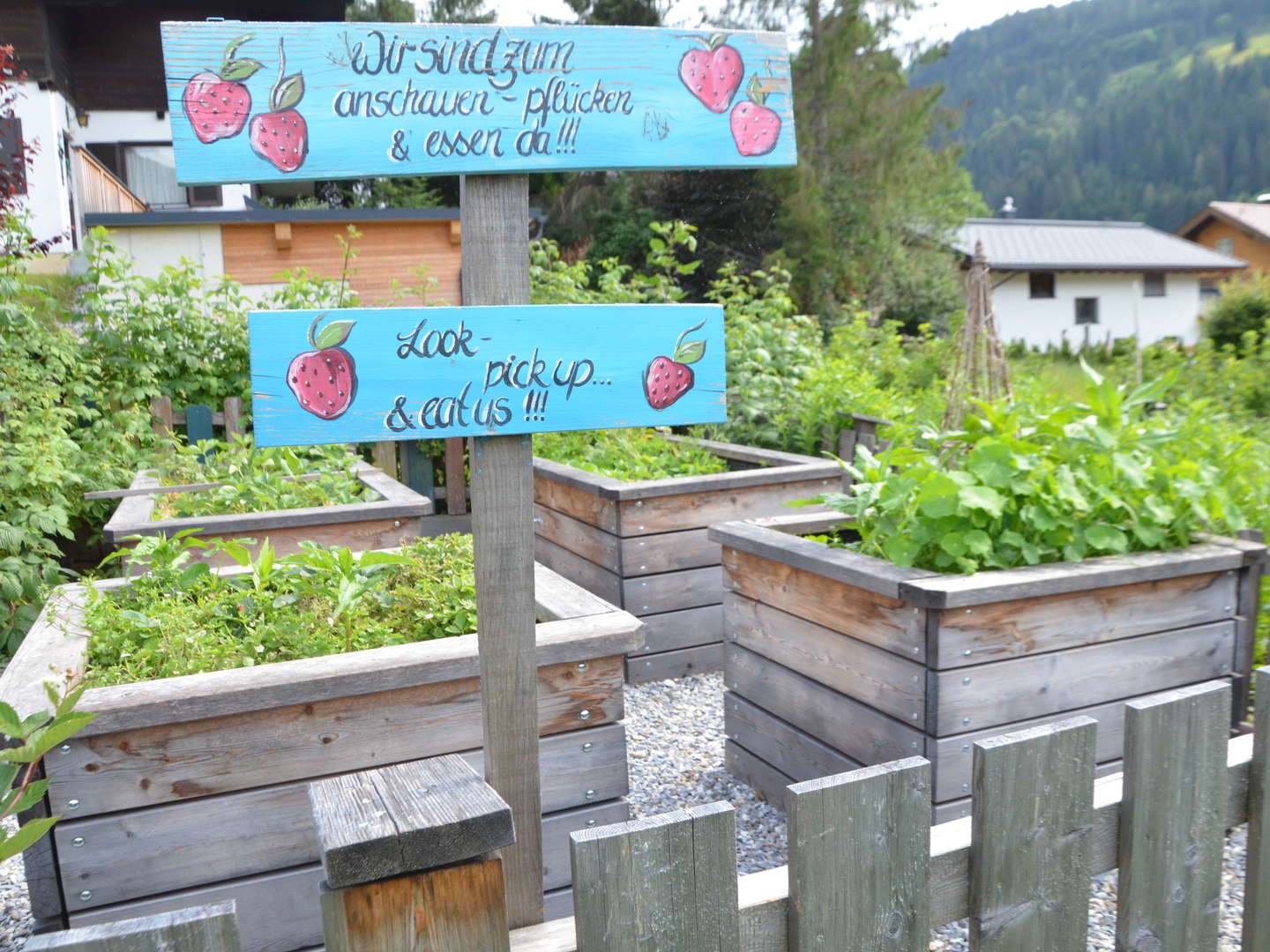 Familienurlaub im Salzburger Land - Wandergenuss & tierischer Spaß | 4 Nächte