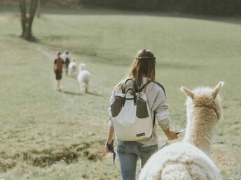 Wandern mit Erlebnisfaktor! | Geführte Alpakawanderung durch das Grazer Schöcklland | 4 Tage 2025