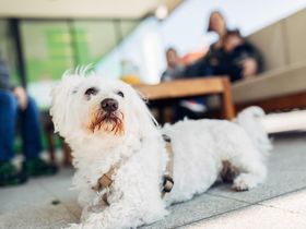 4=3 Special 2025 - Kurzurlaub zum Vorteilspreis in Graz