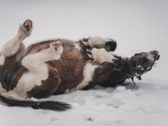 Familienurlaub in der Salzburger Bergwelt inkl. Kinderbetreuung | 3 Nächte
