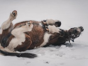 Familienurlaub in der Salzburger Bergwelt inkl. Kinderbetreuung | 1 Nacht