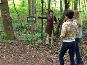 Romantikurlaub - Wienerwaldgenuss mit Candle-Light-Dinner | 1 Nacht