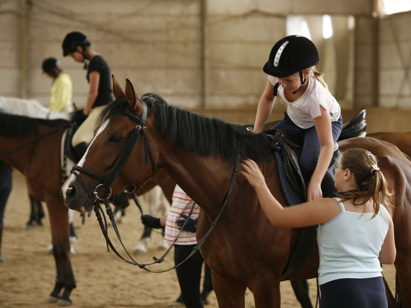 Wienerwald hoch zu Ross - Reiterlebnis für Pferdefreunde | 2 Nächte