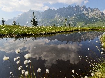 Bed & Breakfast - Sommergenuss Salzburger Berge | 7 Nächte