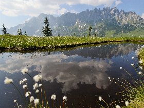 Bed & Breakfast - Sommergenuss Salzburger Berge | 7 Nächte