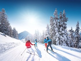 Skisaisonstart 25/26 Dorfgastein/ Großarl | 4 Tage 