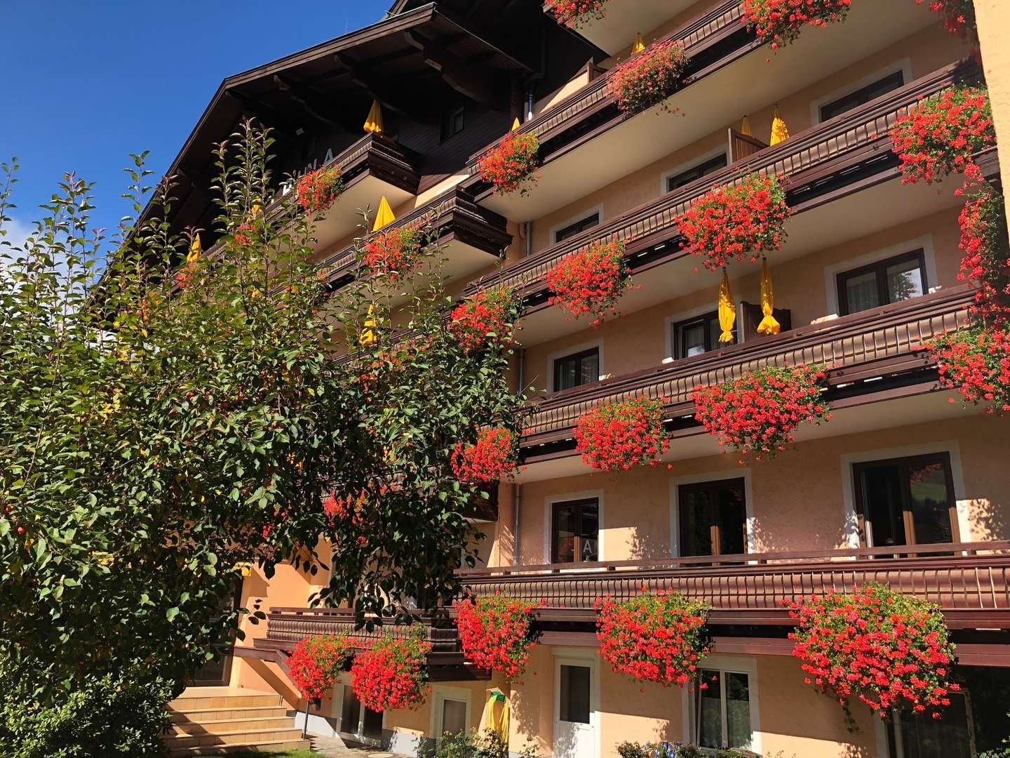 Idyllische Tage in Bad Hofgastein inkl. Welcome Drink | 2 Nächte