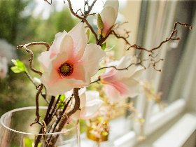 Entspannen in der steirischen Toskana - Auszeit im Top adults only Hotel | 2 Nächte