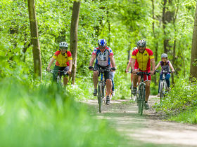 Entspannen in der steirischen Toskana - Auszeit im Top adults only Hotel | 2 Nächte