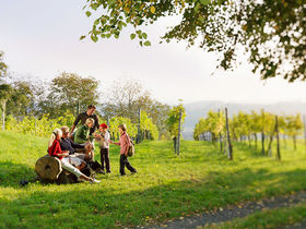 Entspannen in der steirischen Toskana - Auszeit im Top adults only Hotel | 2 Nächte