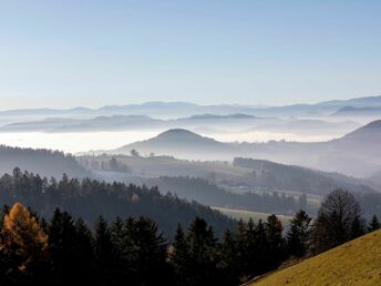 Auszeit in der Grünen Steiermark | 1 Nacht inkl. GenussCard