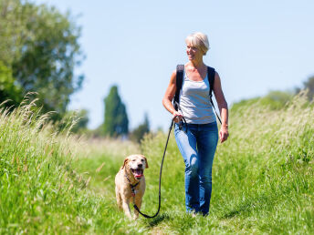 Urlaub auf vier Pfoten | Auszeit mit Ihrem Hund | 4 Tage
