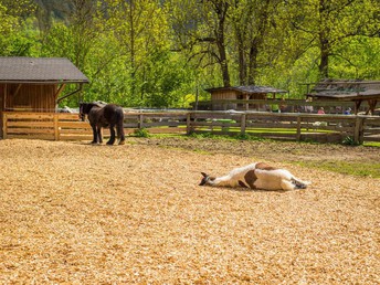 Wochenend-Urlaub mit der Familie im Kinderhotel Appelhof | 2 Nächte
