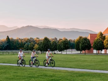 Pure Entspannung im hauseigenem Wellnessbereich | 2 Nächte