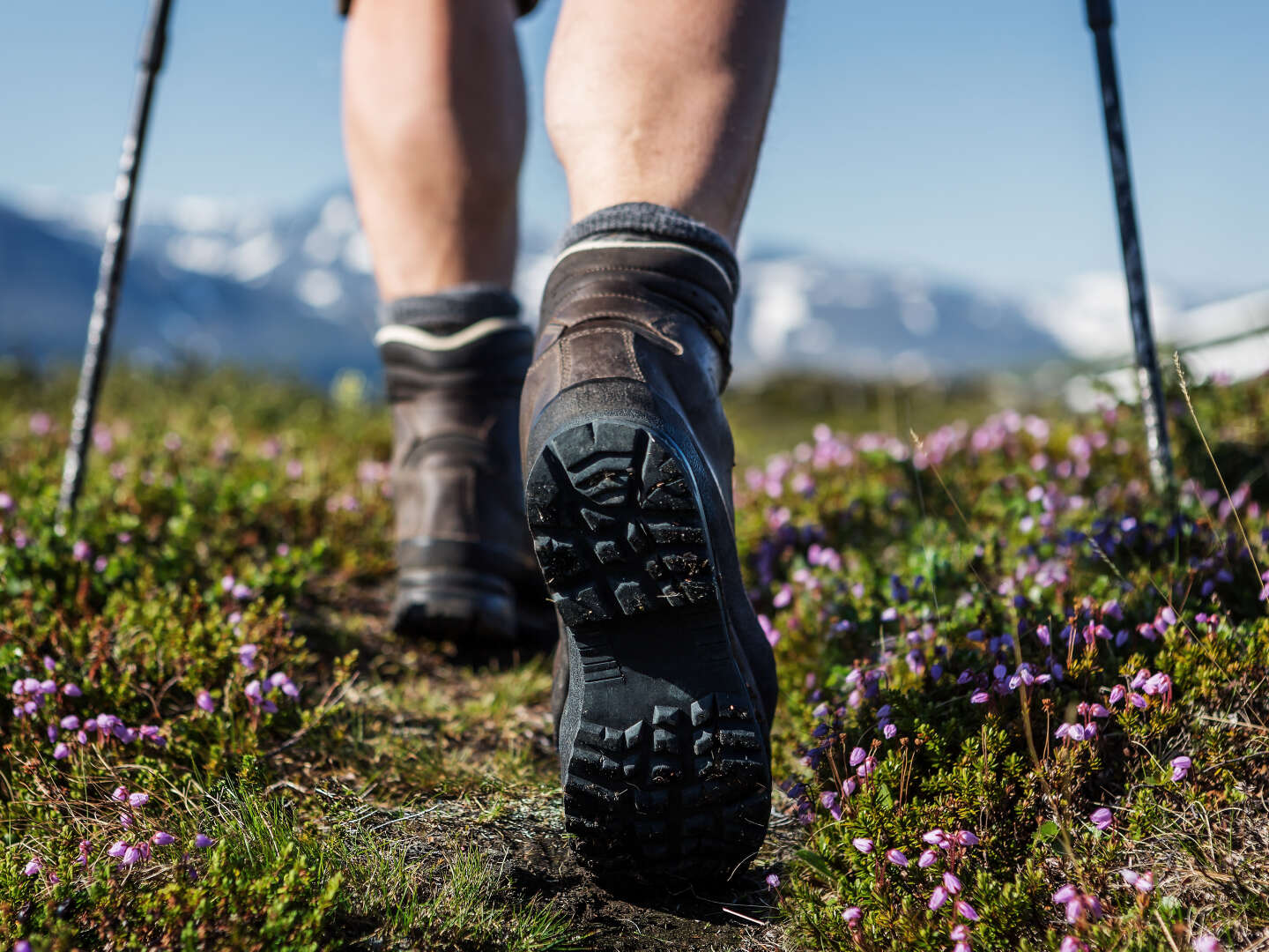 Wanderurlaub für Bergverliebte - Abenteuer mit der LungauCard** | 3 Nächte