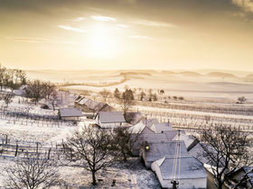 Auf den Spuren des Wein im idyllischen Weinviertel I 2 Nächte