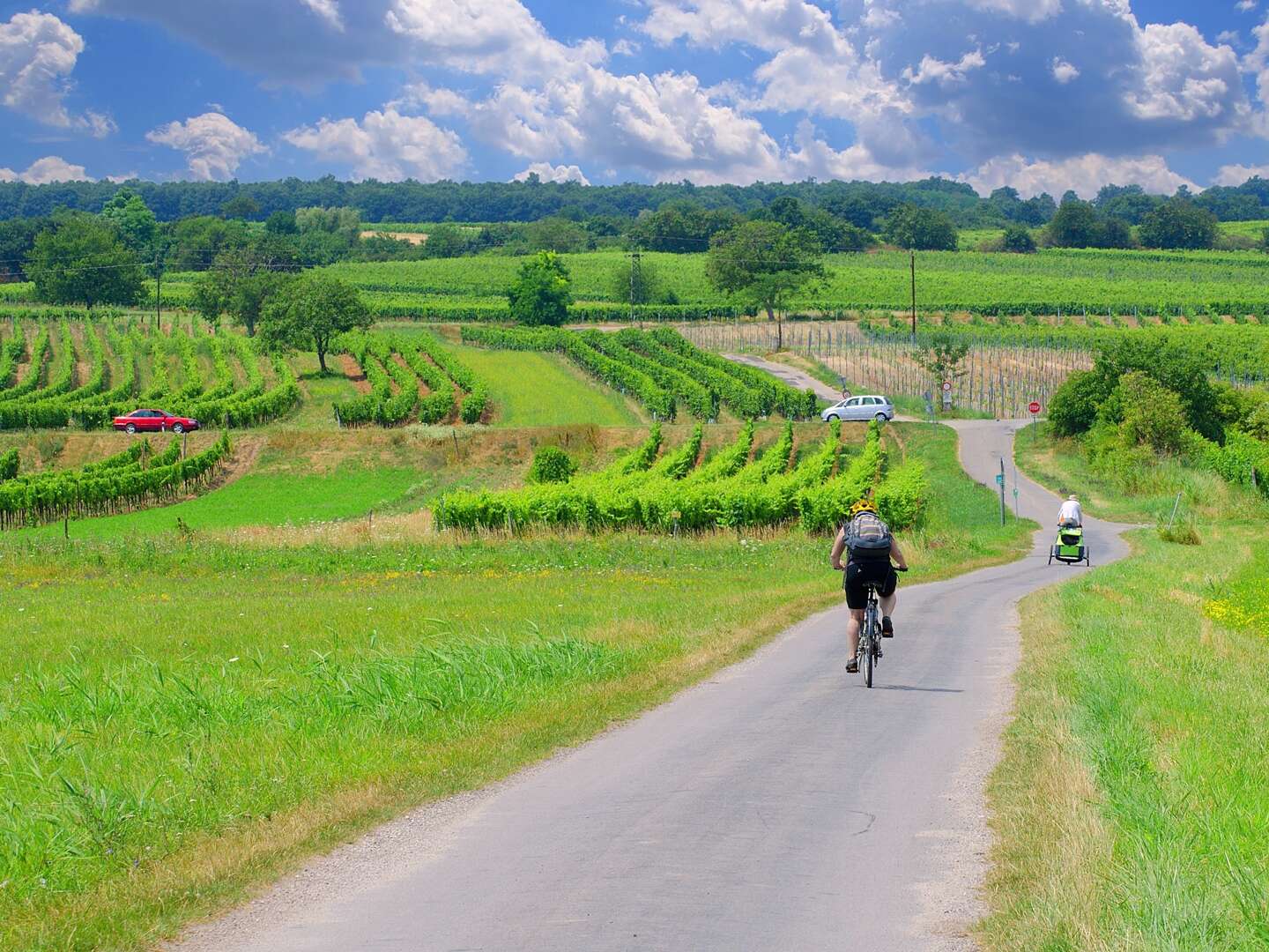 Entdecken Sie das Burgenland auf 2 Rädern inkl. Verleih | 2 Nächte