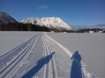 Bild 31 von 37