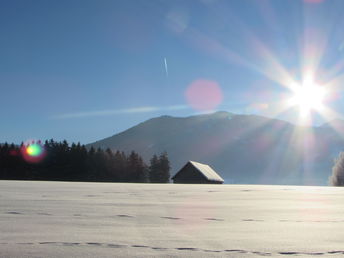 Bild 32 von 37