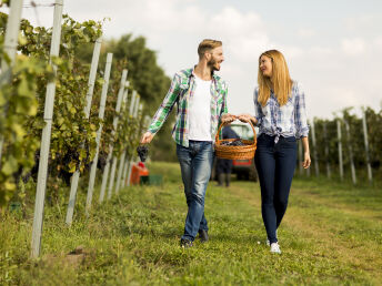 Erholende Tage im Weinort in der Südoststeiermark | 3 Nächte
