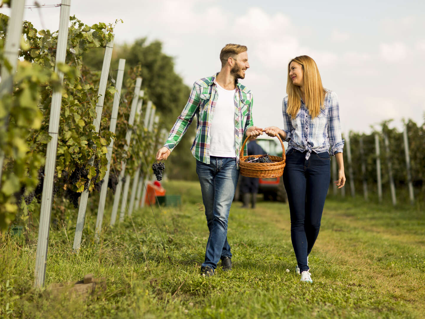 Erholende Tage im Weinort in der Südoststeiermark | 3 Nächte
